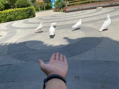 -世界地热博览园