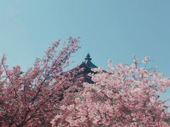 -西安青龙寺遗址景区
