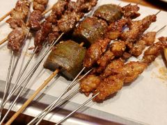 -亮子·东北特色烧烤(复悦荟店)