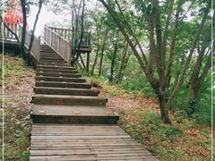 -帽儿山国家森林公园