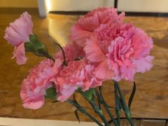 -九汀养生(三水澳盈店)