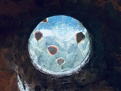 -珠海长隆海洋王国