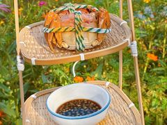 -丫丫蟹庄·苏式园林农家乐·阳澄湖大闸蟹(阳澄湖莲花岛店)