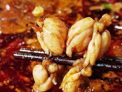 -孙婆婆美蛙兔火锅(踏水桥店)