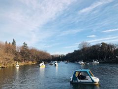 -三鹰之森吉卜力美术馆