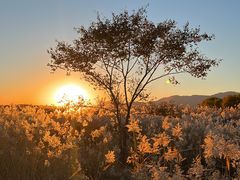 -野鸭湖国家湿地公园