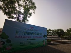 -莲花池公园