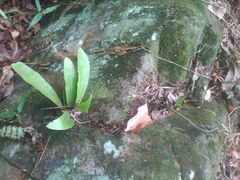 android_upload_pic-紫云谷景区