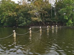 -海德公园