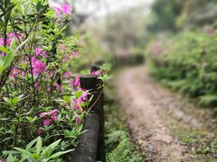 -田野绿世界