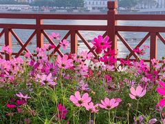-海心沙亚运公园