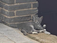 -广胜寺塔