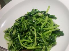 -老吉堂上海本帮菜(望京万象汇店)