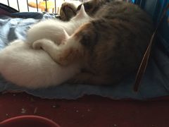 -赢吧Bliss音乐酒吧