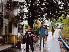 -南丫岛