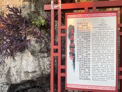 -桂林独秀峰王城景区