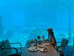 -涛·海底餐厅·美人鱼·自助餐·海底隧道(三亚海棠湾洲际度假酒店)