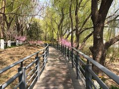 -大兴滨河森林公园