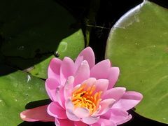 -东升八家郊野公园
