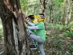 -宾果蒙特梭利托育儿童之家幼儿园(爱琴海店)