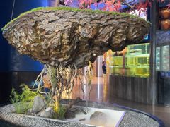 -1718海鲜姿造(苏宁宴请臻选店)