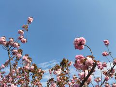 -上海山野camping·户外天幕烧烤·团建拓展营地