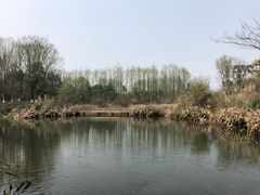 -桤木河湿地公园