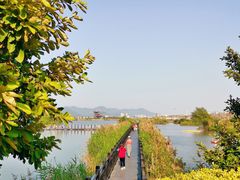 -芒洲湿地公园