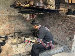 -西双版纳原始森林公园