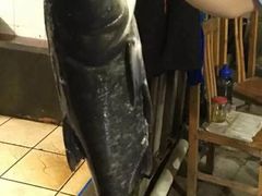 -桃园美食(水库路店)