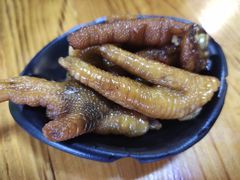 -鸭嘴鱼