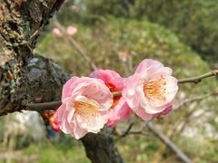 -汇龙潭