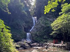 -石台牯牛降景区