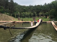 -牛鱼嘴原始生态风景区