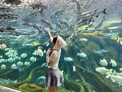 -波塞冬旅游度假区