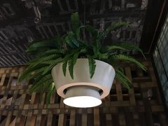 -天山醉美辣子鸡(文艺路店)