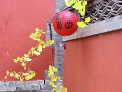-八奇洞景区