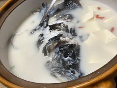 -全乐鱼馆·淳牌有机鱼直营店