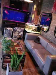 -青木造型HAIR·あおき髪を刈る潮人店