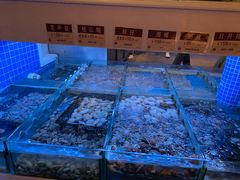 水产区-金苑海鲜酒家(来魅力店)