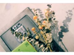 -田园东方蜜桃村的田野营地