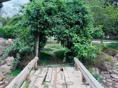 -秀丽东方