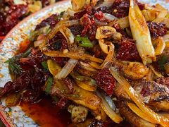 -柴窝堡22号辣子鸡·传承新疆菜