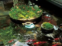 -野蔓果·山野菜(西湖景区·龙井茶田店)