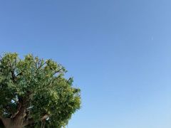 -咸阳湖景区-统一广场