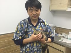 -爱侣宠医·鹦鹉专科·小型哺乳类·异宠专科(灵石路店)