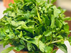 -渔惑·中山脆肉鲩火锅(仁恒梦店)