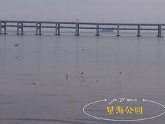 -星海湾跨海大桥
