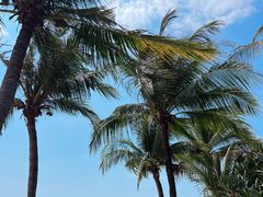 -三亚海棠湾万丽度假酒店