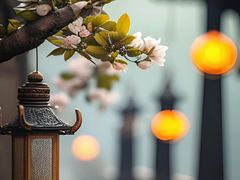 -七彩云南庆沣祥茶庄(金融街店)